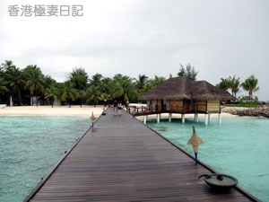 f0190653_8413244.jpg