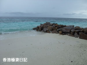 f0190653_8422824.jpg