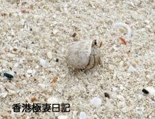 f0190653_842333.gif