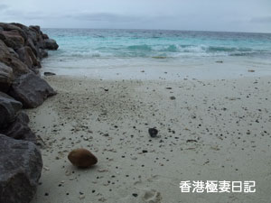 f0190653_8424126.jpg
