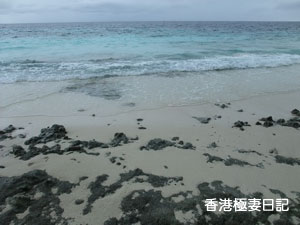 f0190653_8425296.jpg