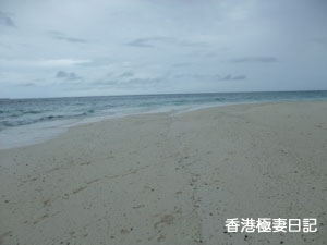 f0190653_8431638.jpg