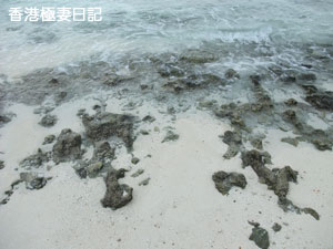 f0190653_8434327.jpg