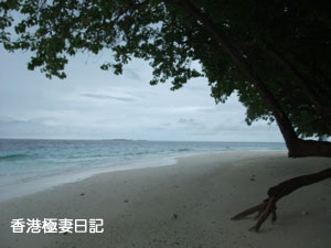 f0190653_843545.jpg