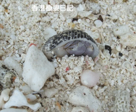 f0190653_8435964.gif