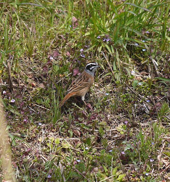 d0091754_2030195.jpg
