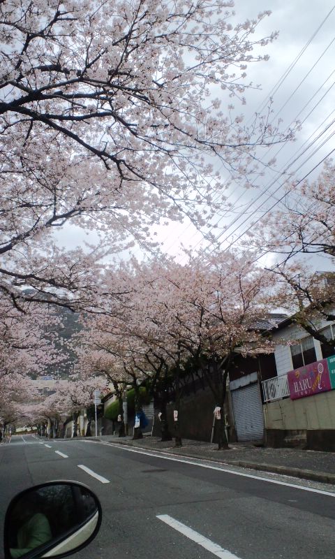 a0031155_13192319.jpg
