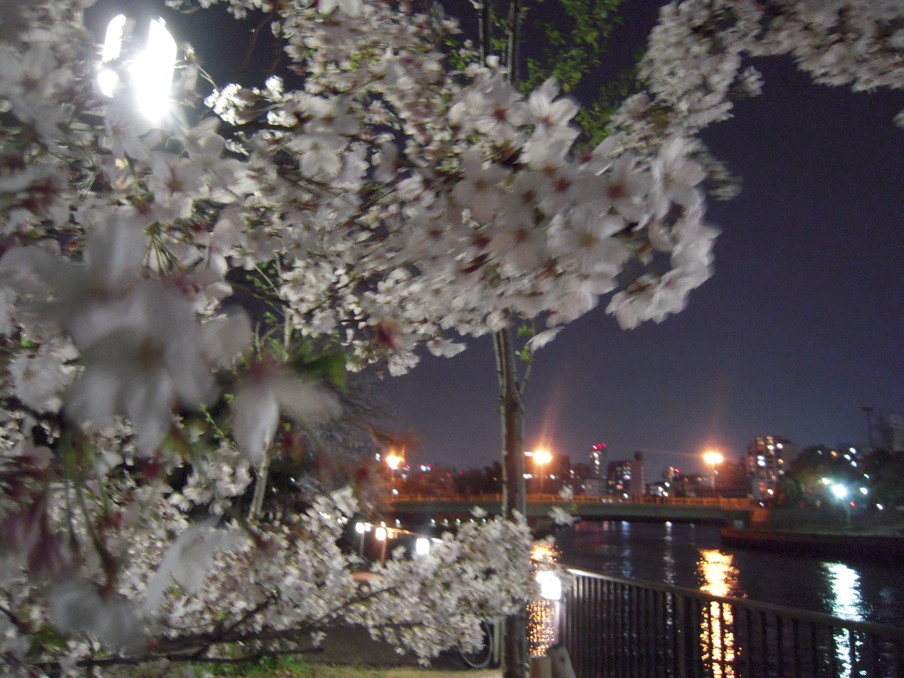 b0176256_20255032.jpg
