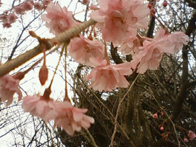 c0031856_23251519.jpg