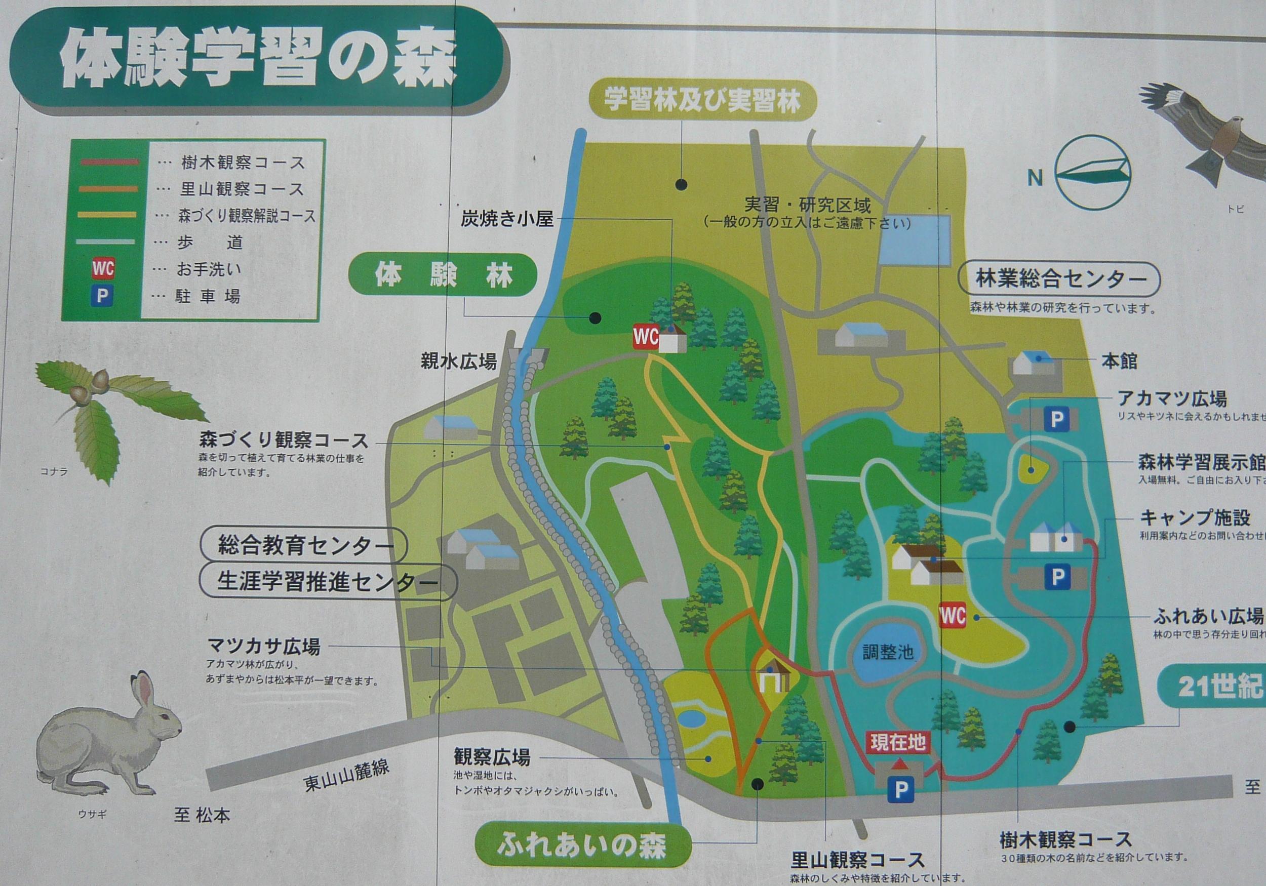 c0140260_0153130.jpg