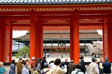 b0086362_21265982.jpg