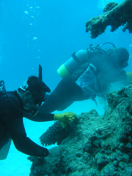 b0062363_20244472.jpg
