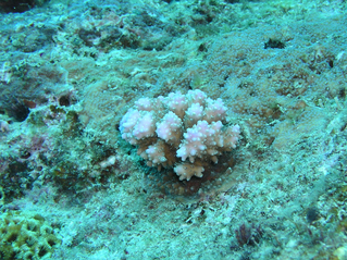 b0062363_20273415.jpg