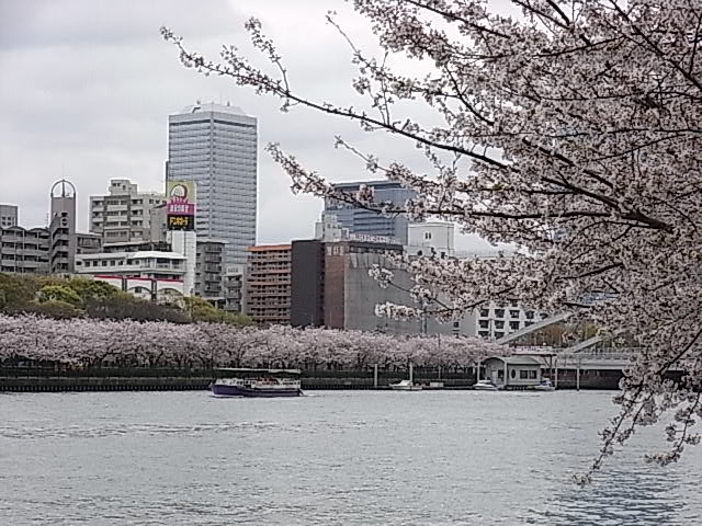 b0068067_13132331.jpg