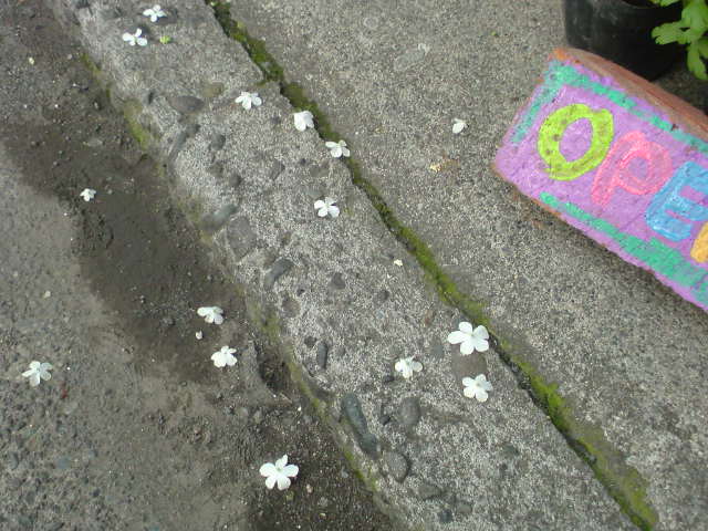 f0220768_11414440.jpg
