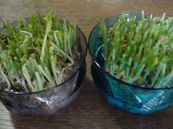 f0204069_18585413.jpg