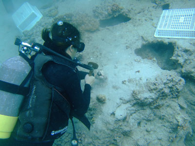 b0033573_1831865.jpg