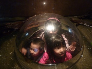 c0080075_14375054.jpg