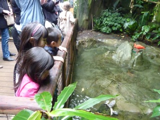 c0080075_1437560.jpg