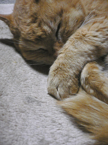 e0112077_2156115.jpg