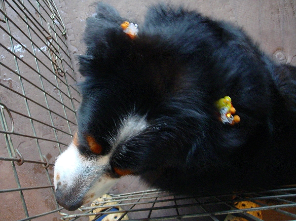 c0149178_8283449.jpg
