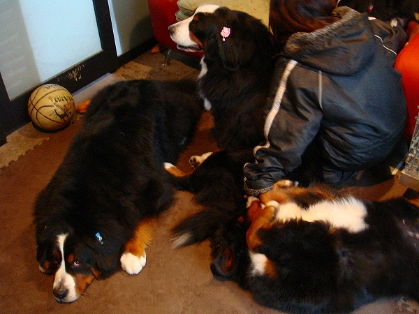 c0149178_8382656.jpg