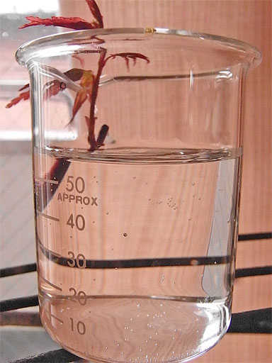 f0089079_2461548.jpg