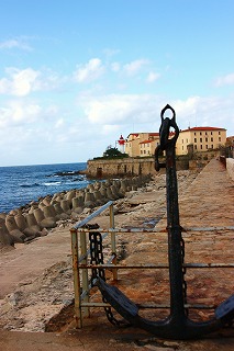 a0107981_1371954.jpg
