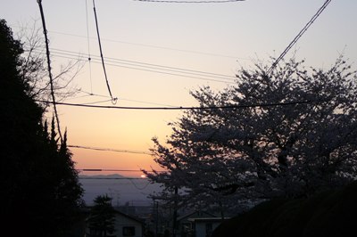 f0036481_2329924.jpg