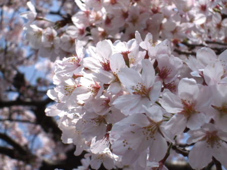 f0039281_1837332.jpg
