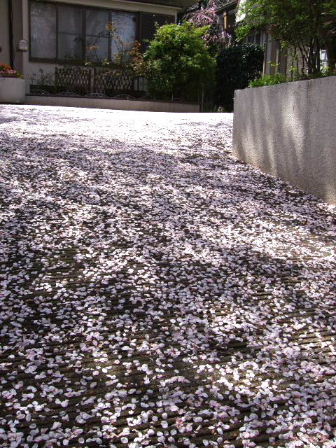 f0039281_1838185.jpg