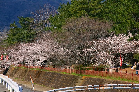 b0073782_17222561.jpg