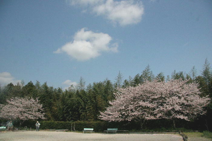 b0171185_23435427.jpg