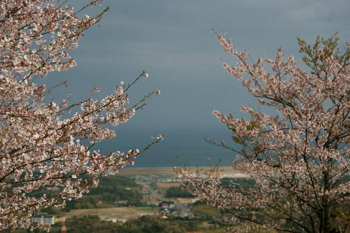 b0171185_2353263.jpg
