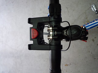 a0118289_82554.jpg