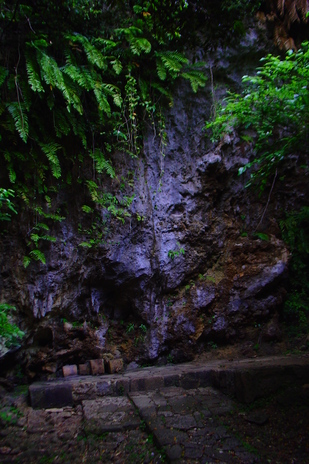 f0217090_23484767.jpg