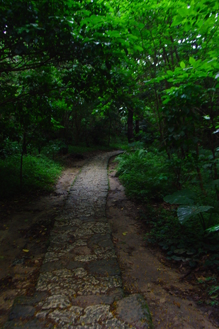 f0217090_23521676.jpg