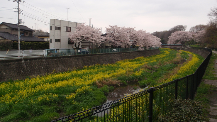 d0034291_13541621.jpg