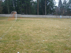 f0199394_85416100.jpg
