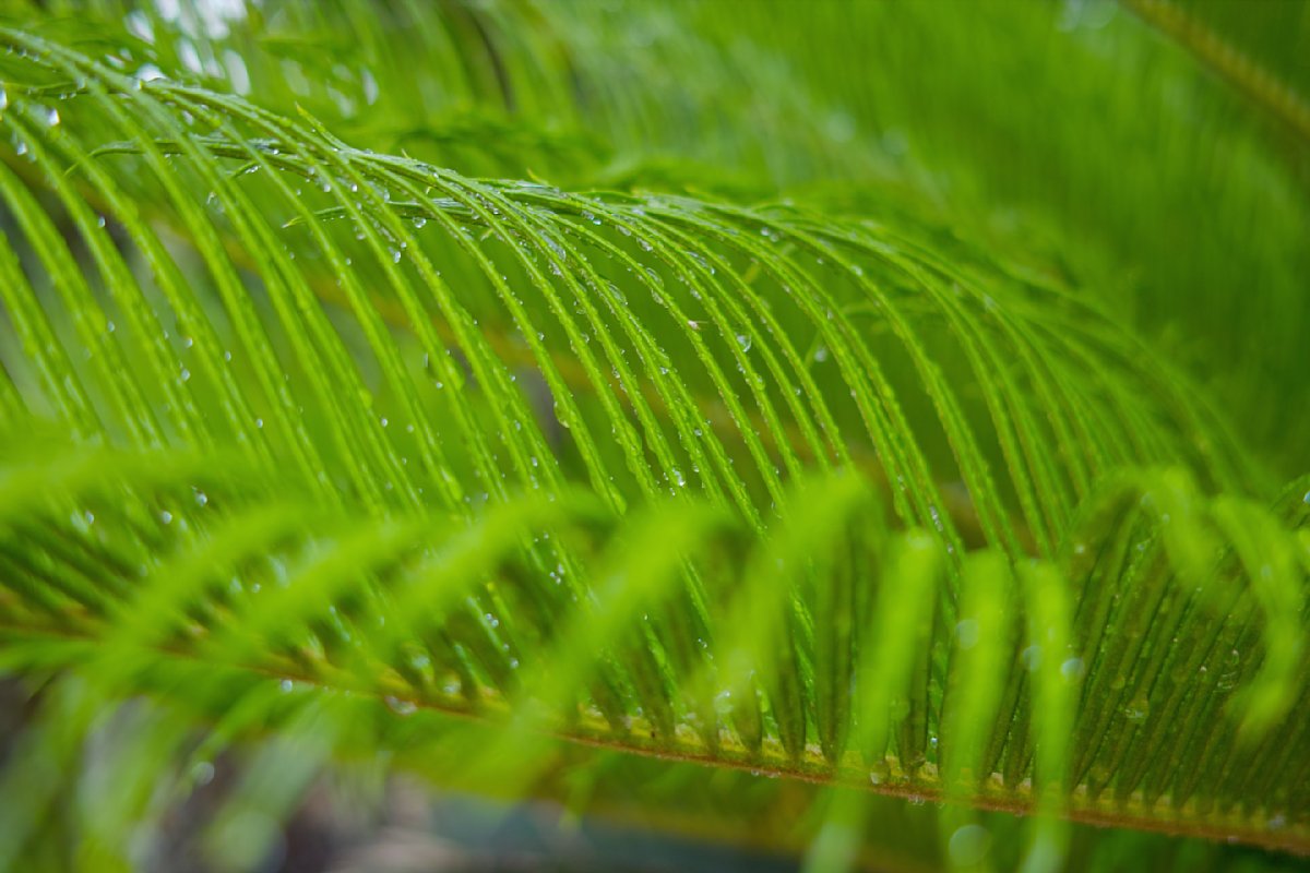 c0124795_21385943.jpg