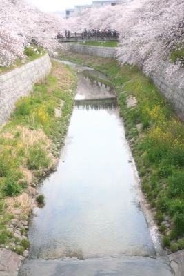 f0103797_20362673.jpg