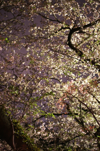 c0129498_1257132.jpg