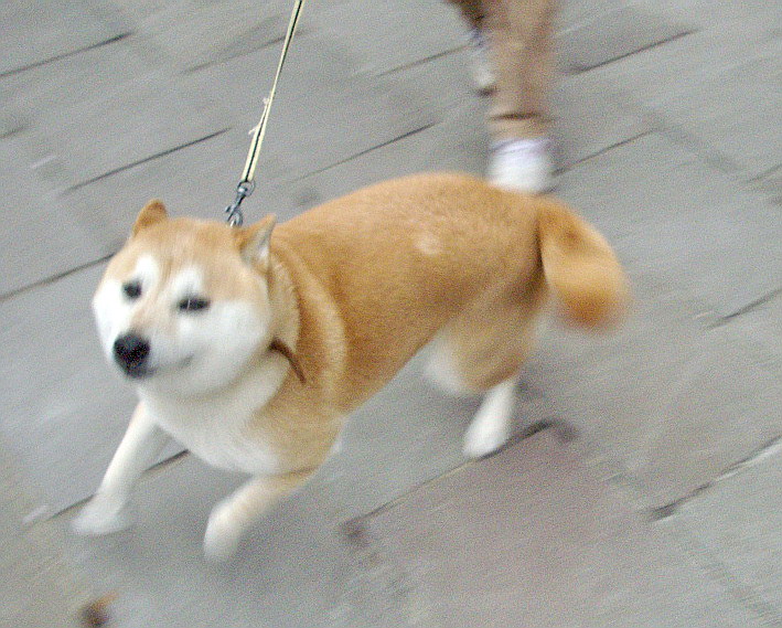 c0138198_12263628.jpg
