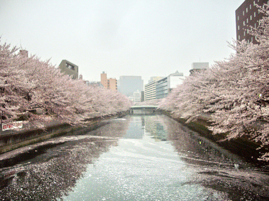 c0138198_12331336.jpg