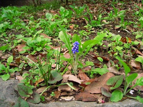 c0227800_732810.jpg