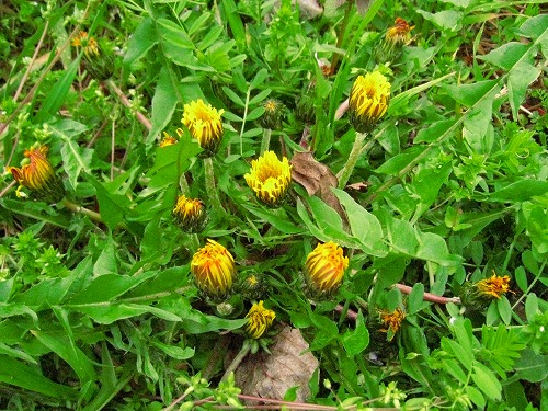 c0227800_7332825.jpg