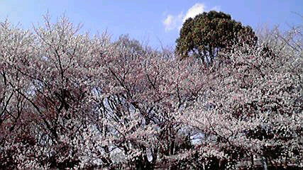 d0021500_1823538.jpg