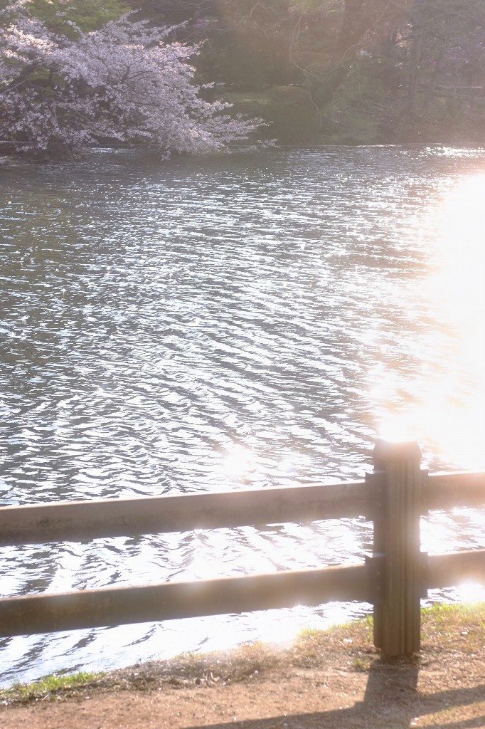 c0157702_2142491.jpg
