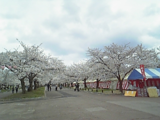 e0175702_22244714.jpg