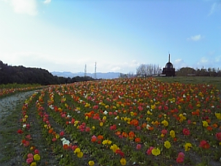 e0175702_2227193.jpg